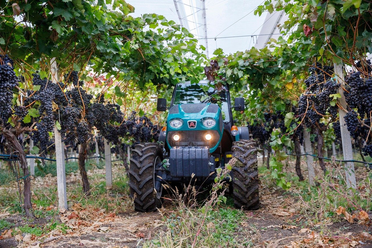 Agricultura familiar em Cristinápolis